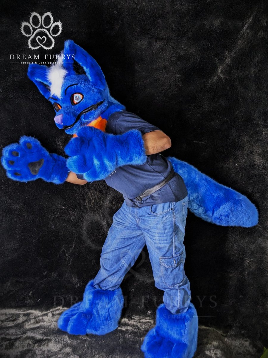 dreamfurrys's tweet photo. Blue Berry is finally here! A look at the completed full partial being worn and brought to life. ✨

🌐 https://t.co/1JfCSsxKV7

#DreamFurrys #BlueBerry #Fursuit #FursuitPartial #FursuitMaker #furryㅤㅤㅤ https://t.co/S3kBryDgoT