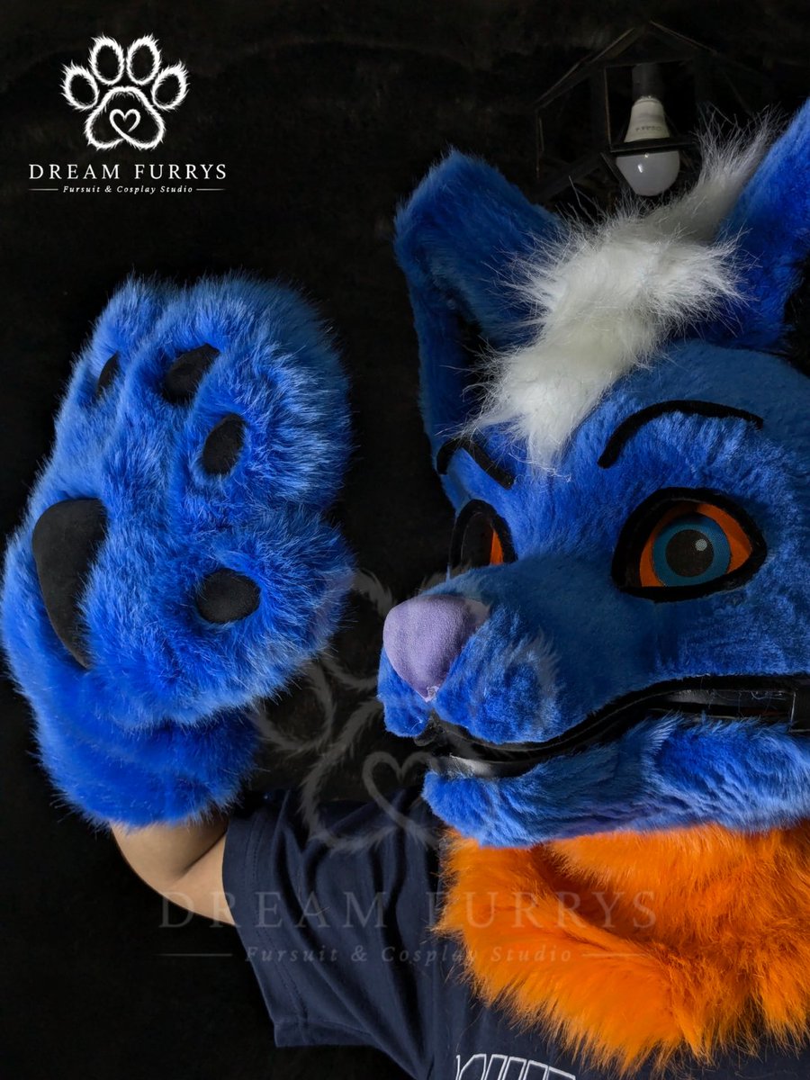 dreamfurrys's tweet photo. Blue Berry is finally here! A look at the completed full partial being worn and brought to life. ✨

🌐 https://t.co/1JfCSsxKV7

#DreamFurrys #BlueBerry #Fursuit #FursuitPartial #FursuitMaker #furryㅤㅤㅤ https://t.co/S3kBryDgoT