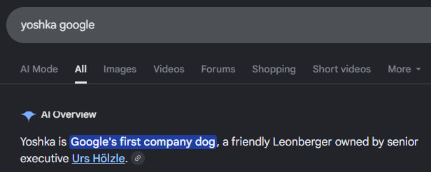Duckythedev1's tweet photo. Google literally built a DOG CULT around one animal in the 90s 😭

Back in 1999, Yoshka became the FIRST dog at 

Google and basically started the entire dog culture inside the company
OFFICIAL ARTICLE : https://t.co/UlXCbBQ4DM

Yoshka's influence got so big that employees started bringing their own dogs to work, eventually creating an entire CULT Google calls “Dooglers”

Google named Yoshka's Cafe after him and literally preserved his badge, collar and favorite toy inside HQ
$Yoshka | paired to google