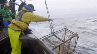 piesmoosher's tweet photo. @DeadliestCatch Dentistry on this new episode of the Deadliest Catch tonight. Rick has a deckhand who suffered a head injury has to turn back. The Wizard fishing in rough seas comes up with empty pots. Johnathan assigned someone to do some dentistry implants on his brother Neal. https://t.co/qxH0vb35aD