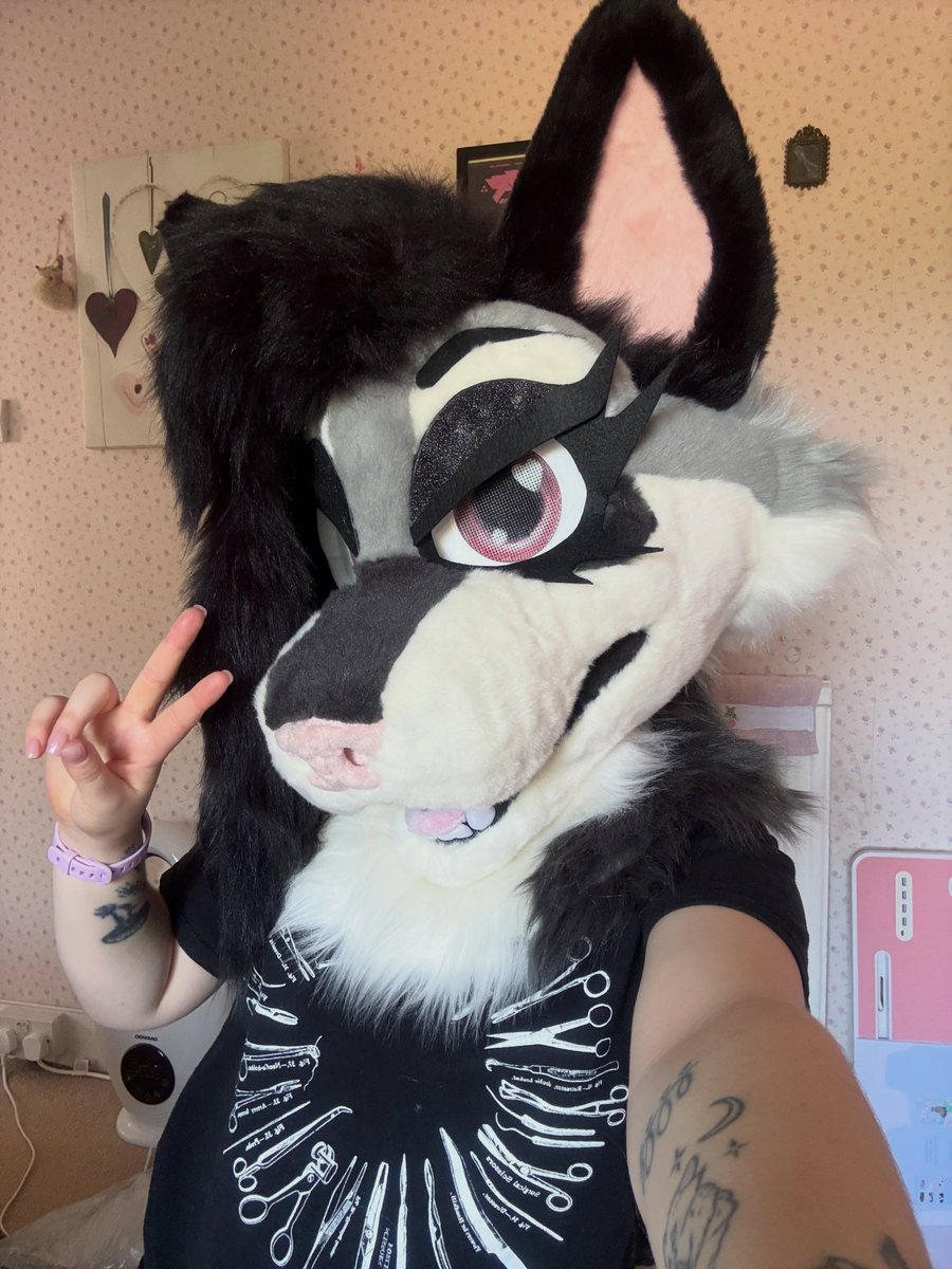 mangobiscuit_'s tweet photo. What u lookin at 🤨

#furry #furryfandom #fursuit #furrycommunity #fursona #furrygirl https://t.co/LJvay8KHnk