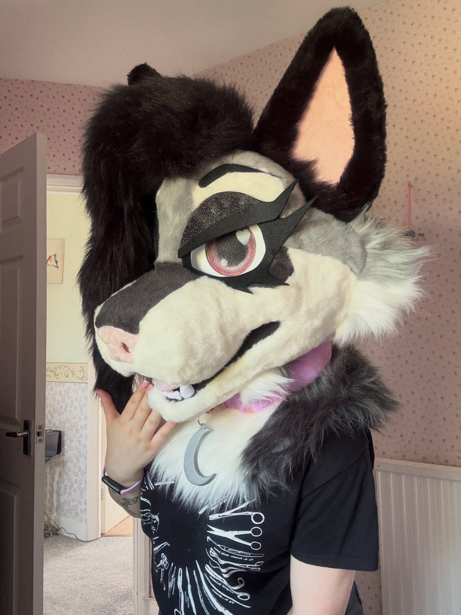mangobiscuit_'s tweet photo. What u lookin at 🤨

#furry #furryfandom #fursuit #furrycommunity #fursona #furrygirl https://t.co/LJvay8KHnk