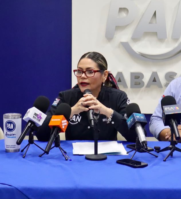 PAN_Tabasco's tweet photo. En @accionnacional #Tabasco exigimos la inmediata renuncia del Secretario Ejecutivo del @iepctabasco, el órgano electoral local está enviando un mensaje irresponsable y nocivo a la ciudadanía y a la democracia. https://t.co/Gd79fHfhqJ