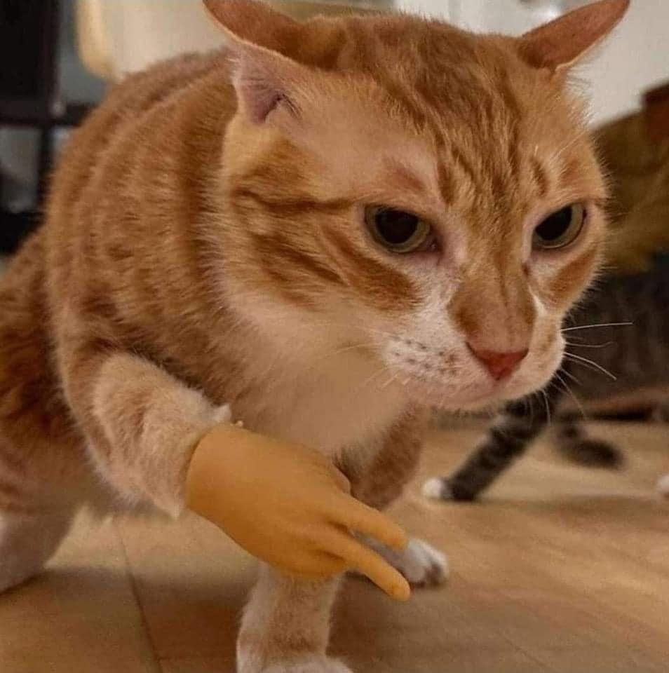 Lucasxuser's tweet photo. @apaginaseria Tenho nada a oferecer não parça, mas segue aí se tiver vontade https://t.co/1aOT41ZD1e