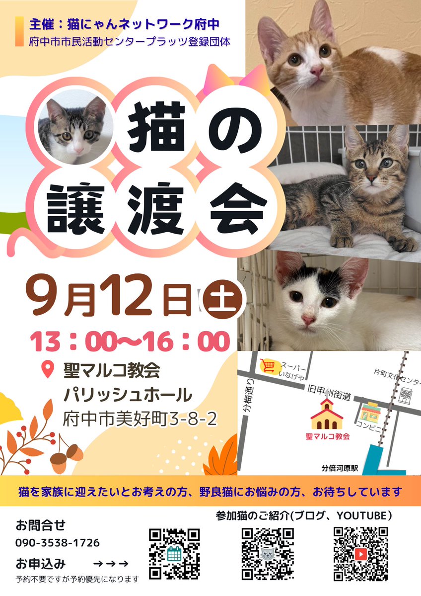nnnfuchu's tweet photo. おはようございます

本日、譲渡会です✨

皆様のお越しをお待ちしております🐾

🗓️9月12日(土)13:00〜16:00
📍聖マルコ教会パリッシュホール
🗾府中市美好町3-8-2 https://t.co/fHqv4K2xPh