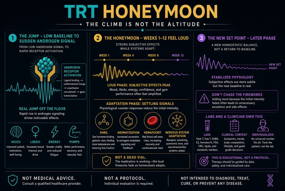 ElevateBiohack's tweet photo. **The TRT “honeymoon”**

First couple of months can feel like somebody turned the lights back on. Then month four shows up and people think the vial died. It didn’t.

**What that window actually is**

You went from a low-androgen baseline to a sudden flood at the receptor. Mood, libido, pumps, sleep, “I like my life again” -- a lot of that is real. The brain and muscle had been running lean. Give them testosterone and estradiol starts climbing with it. For a minute everything is loud in a good way. Novelty does some of the work too. That combo is the honeymoon. It is not a secret extra ester.

**Why it cools off**

Receptors and binding proteins catch up. SHBG moves. Aromatization finds a new set point. Hematocrit and water settle into the long-term picture. The nervous system stops treating every good day like a miracle. You are not “immune to testosterone.” You adapted. The first eight to twelve weeks were a jump off the floor. After that you are living on the new floor.

**What people get wrong**

They stack more oil because the magic faded. They blame the brand. They confuse feeling normal-on-treatment with feeling deficient again. Some of the drop is protocol noise -- peaks and valleys, E2 drift, sleep, calories -- and some of it is just the nervous system getting used to having androgen around.

Simple version: the honeymoon is the climb. What comes after is the altitude. Don’t judge the whole therapy by the first month’s fireworks.

Not a protocol. Not medical advice. TRT belongs with a clinician and labs.

FTC Disclosure: ELEVATE and ELEVATE Performance Marketing LLC maintain affiliate, referral, and marketing relationships with select research and wellness industry partners. We may receive compensation from purchases made through our links, discount codes, referrals, or other promotional partnerships. Content shared by ELEVATE is intended solely for educational and informational purposes and should not be construed as medical advice. All statements, opinions, and recommendations expressed are our own.

#TRT #Testosterone #HoneymoonPhase #Endocrinology #EvidenceBased