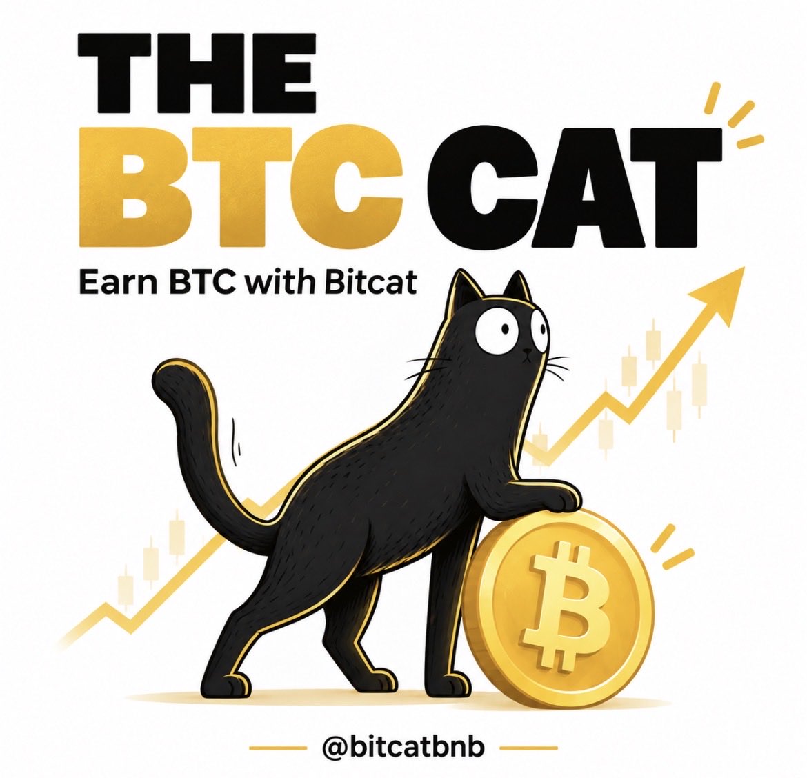 DeeWoozy's tweet photo. @soapweb3 Please take a look at $BITCAT. 👀

Perfect story. Microcap. Community takeover. BTC rewards.

Could be the next big runner. Don’t take my word for it—look for yourself. 🔥

@bitcatbnb

CA: 0x7d1A8DBB40B7b5518ef69b93a6fAEba91eea7777 https://t.co/v7Ourps7kX