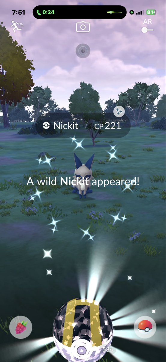MuffinGo11's tweet photo. A few fun shinys from tonight’s walk✨ https://t.co/xpVIxAN8qL