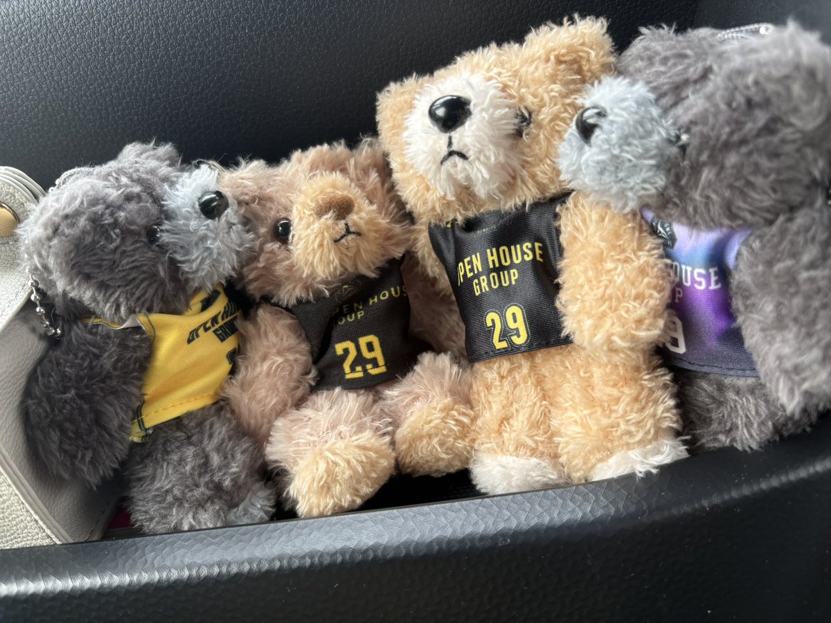 aksg2324's tweet photo. 先週の試合でアウェーは売り切れてて買えなかったけど今年のユニくまちゃんは座らないタイプでお顔が白いの https://t.co/GcAJTfoPgw