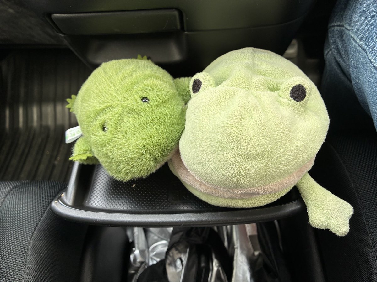 tomio_8_'s tweet photo. 「勝手についてきたもぐー！」 https://t.co/U5VlZAUYHc