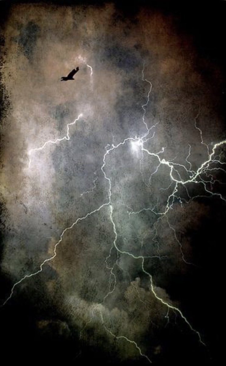 gypsyOTR's tweet photo. “For we wrestle not against flesh and blood, but against principalities, against powers, against the rulers of the darkness of this world, against spiritual wickedness in high places.”
~Ephesians 6:12🕊 https://t.co/EF1ZPd3QxA