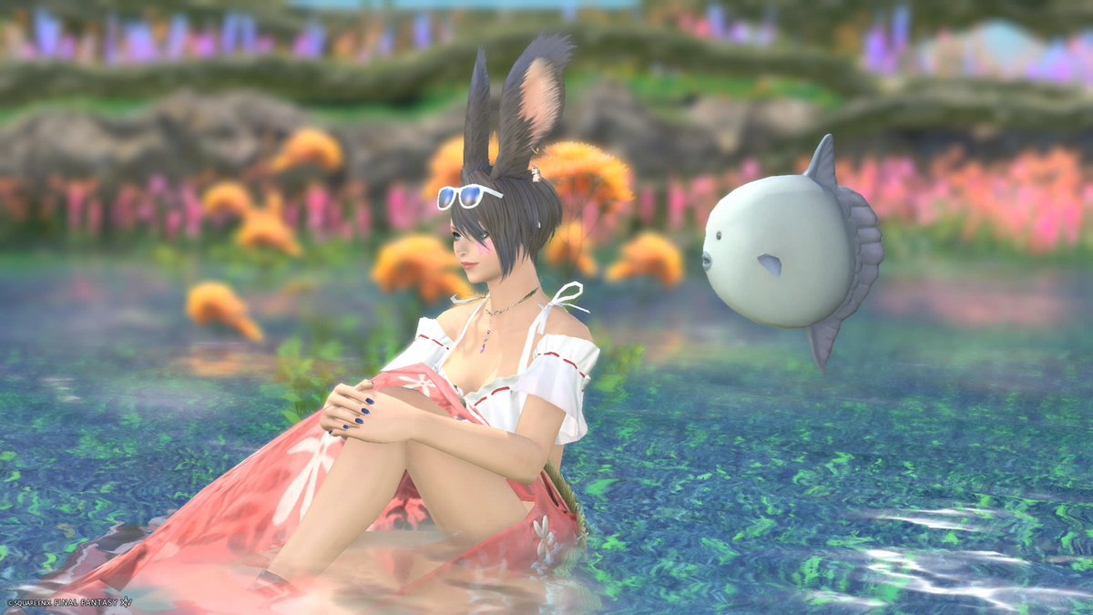 akohiiragi's tweet photo. おはようございます☀️
昨日は初めてヌシ？釣った🎣あとモモラモラ
もゲット✊💖

#ff14
#おはうさ
#ヴィエラ https://t.co/eqRx5uy5Ec
