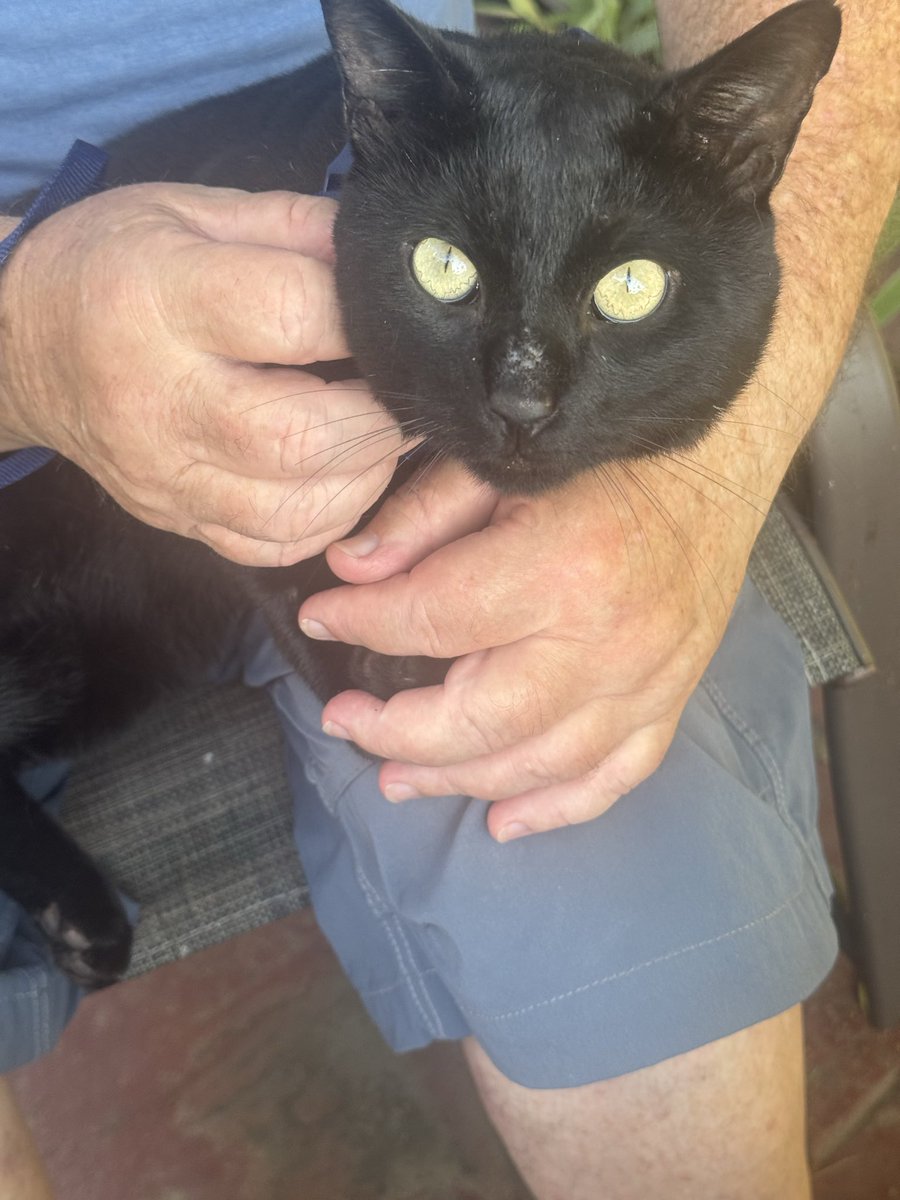 Staff_Commodore's tweet photo. I have a new buddy. We have the same eye color ;) https://t.co/tJ0yGfuCBD