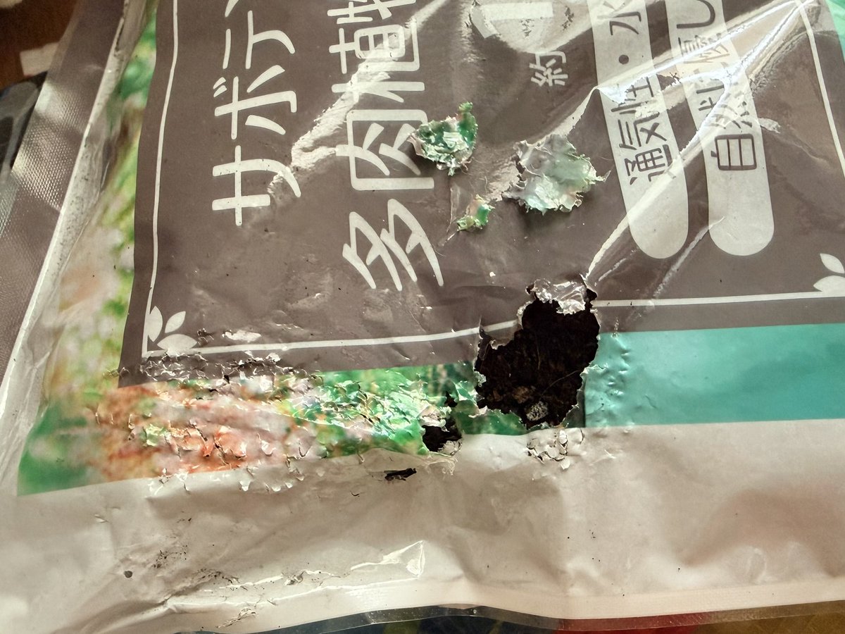 tiny_fulff_ball's tweet photo. わぁーん😭!!!
ちゃろの噛み跡がいっぱいあった😭😭😭
捨てれんくなったやん😭
えぇ…ここだけ切り取っとこうかな🥲 https://t.co/0VY1nOJI7E