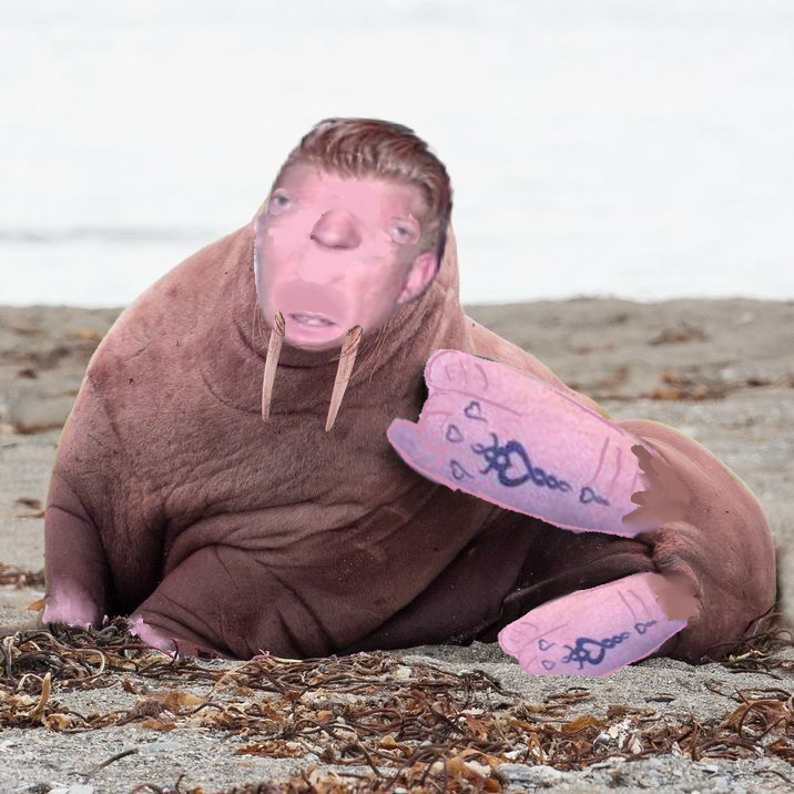 wolfonketamine's tweet photo. ew ew ew! guys im actually so sorry for making josh homme walrus i have to be killed for this https://t.co/En9GGaSXhD