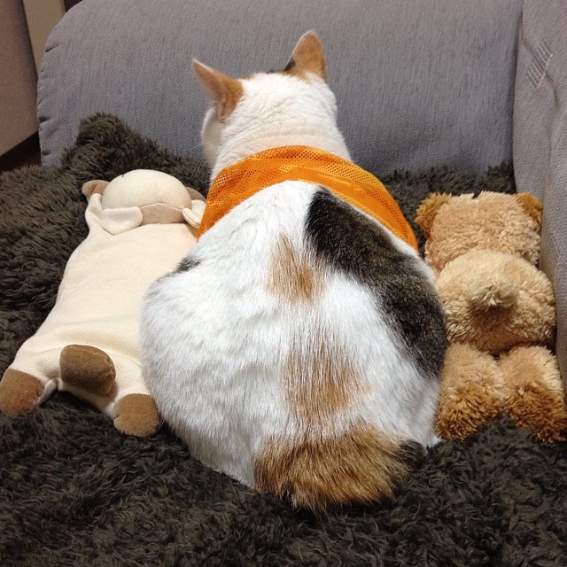 GreggMartelpr's tweet photo. 記憶の解像度が落ちていく感覚は、どこか心地よい。どうせ大したことは覚えていないんだし、少しずつ消えていくくらいがちょうどいい。 https://t.co/0mkxSLACtm