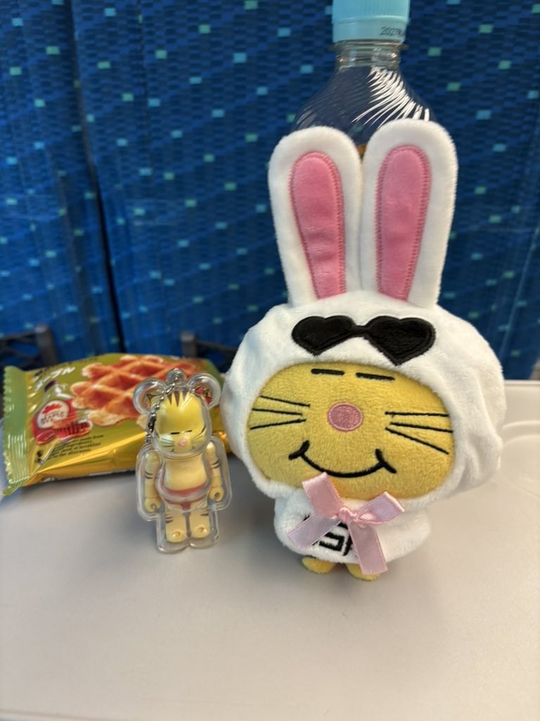 haru_KMK's tweet photo. 今日、やっとやっと私のKMKが始まります✨✨
歌はもちろんだけどMCも楽しみ😊

#NEWS_KMK https://t.co/7UUuwmfbOq