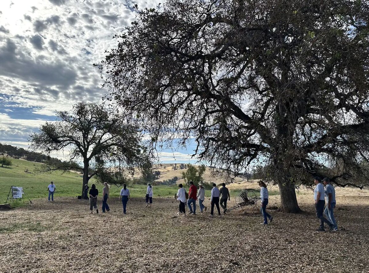 ucanr's tweet photo. Day 2 in the field with UC leadership! 
Members of the UC President’s Advisory Commission on Agriculture &amp; Natural Resources and UC ANR Governing Council visited Sierra Foothill REC to see how research, partnerships and extension connect UC expertise with California’s needs. https://t.co/6iCtLnLuqj