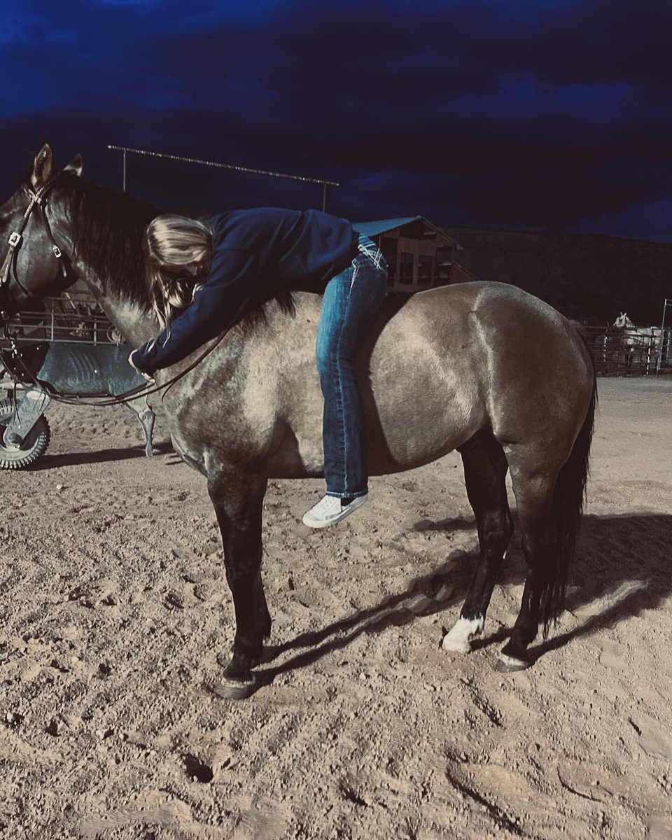 MozellaBodi's tweet photo. My heart horse https://t.co/k7uC5t2QuW