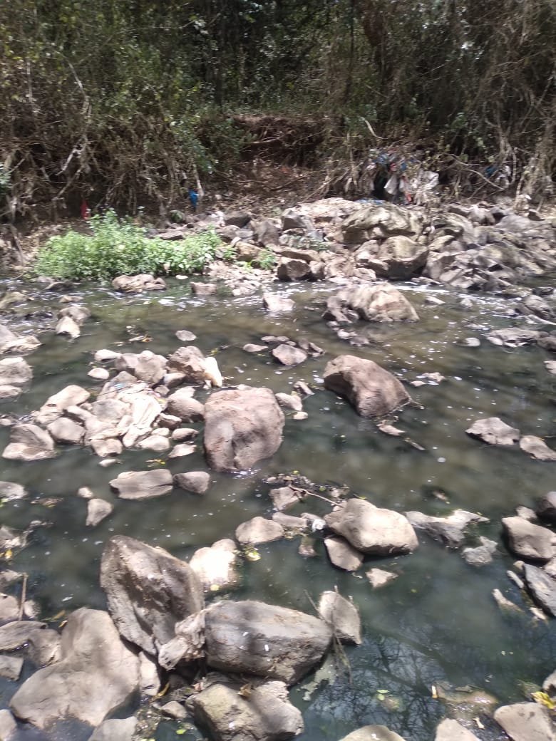 KECJN1's tweet photo. Our resolve to have a cleaner Olookya Forest has always and will always be stronger. Started a clean up at Kandisi river passing theough the forest. https://t.co/gUKZs94H4c
