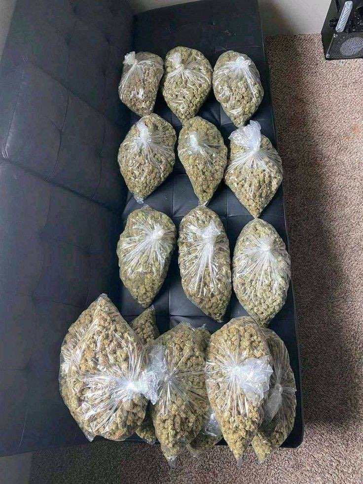 atl_come420's tweet photo. Delivering za right now ATL ONLY📍
$50 7s / $90 halfs/ $160 zips
Dm me📲
#atlplug #atl #atlweed #mobile #plugatl #atlza #zaza #Atlanta #atlweedman #decatur #downtownatl #atlmeets #redan #stonemountain #gsu #clarkatlanta #lithonia https://t.co/6iiYEQ0gTH