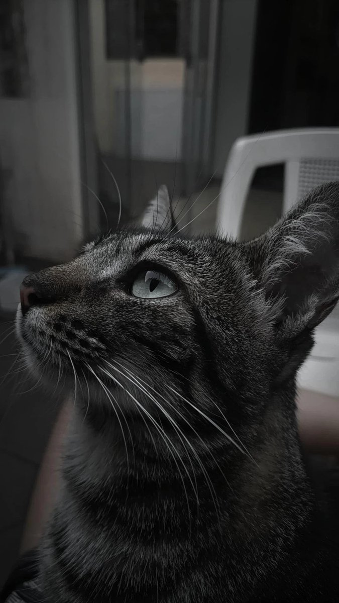nicoleroberta__'s tweet photo. Saudades da minha Gigi, uns 5 meses que não vejo ela ... https://t.co/OZcywZhDQM