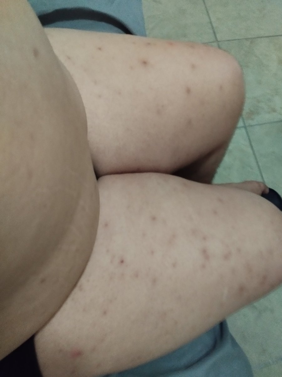 ExEliza2000's tweet photo. Gorda
Gorda
Gorda
Gorda
Gorda https://t.co/YD6oB14ibj
