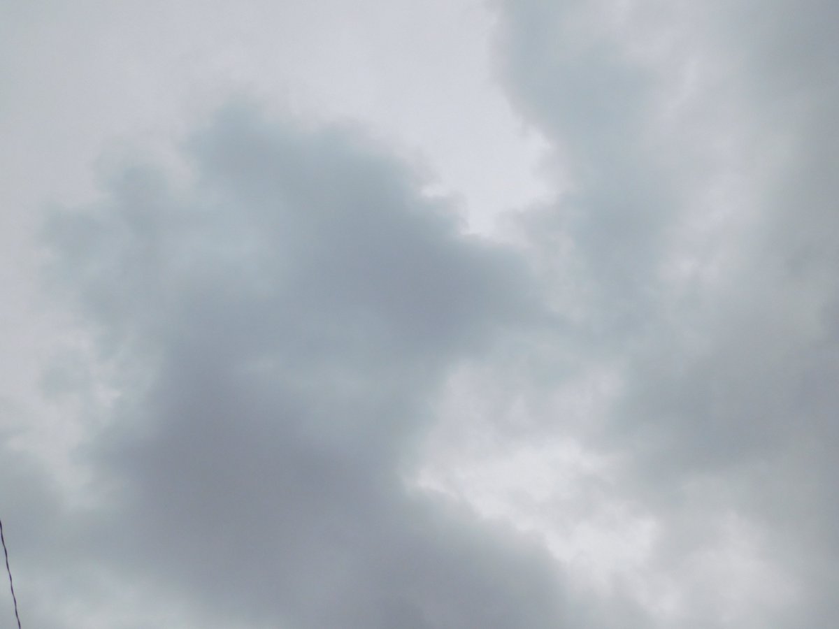 pr_eec's tweet photo. こんにちは😀    

本日の天気は、曇りのち雨です🌧️
雨の日が続くようなので、傘は常に携帯したほうが良いかもしれません☔️
雨の日は、道や床が濡れていることが多いので、気を付けて下さい
今回は、雀の写真を撮影しました🐦

本日も、よろしくお願いします😄

#川崎市中原区
#企業公式相互フォロー https://t.co/xa3VIHuLUi