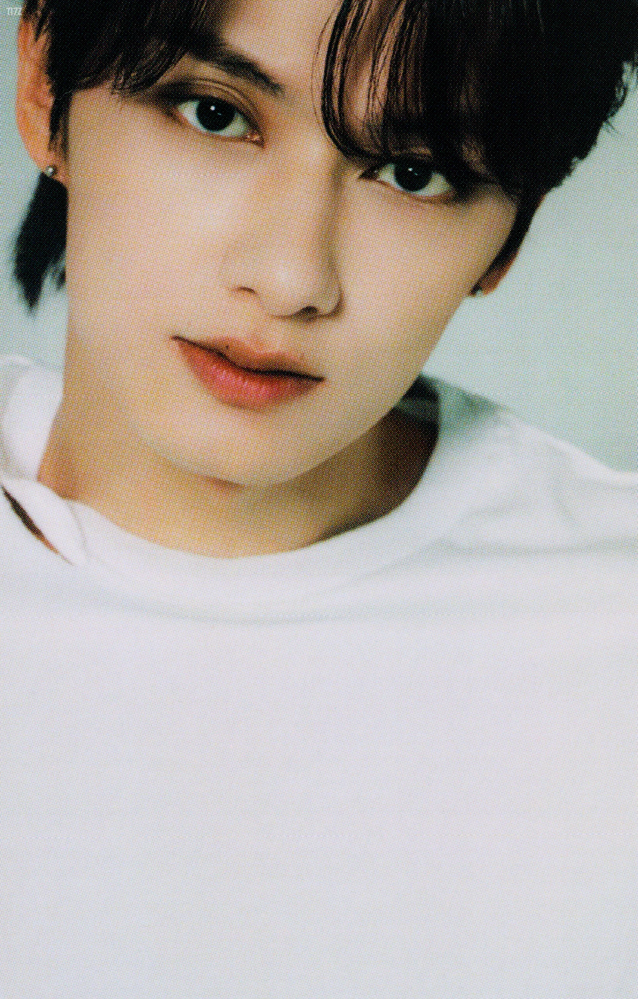 T17Z | seventeen scans on X: 