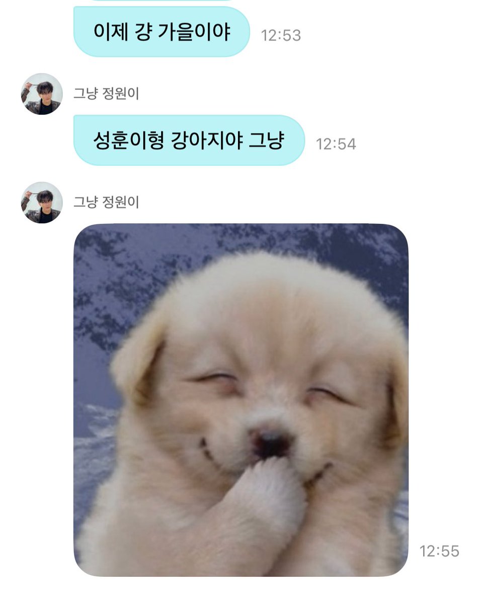 3DOUD3's tweet photo. 아개웃겨 양정원 마지막에 개죽이짤 보낸것도 
ㅋㅋㅋㅋㅋㅋㅋㅋㅋㅋㅋㅋㅋㅋㅋㅋㅋㅋㅋ

🐈이제 걍 가을이야 (🍂)
🐈성훈이형 강아지야 그냥
🐈🤭 https://t.co/I9PxE9NcxF