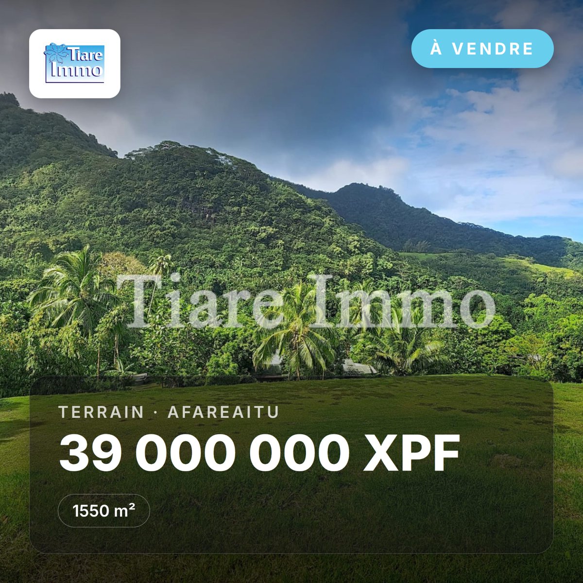 ImmoTiare's tweet photo. ✨ Nouveau | À vendre | Afareaitu 📍

▪ Terrain
▪ 1550 m²
▪ 39000000 XPF
https://t.co/mVkPoSTMKu

Vous souhaitez plus d’informations sur ce bien ? ⬇ 
📞 87225742
📧 stephanie.tiareimmo@gmail.com

#Tiare (...) https://t.co/kIb4x3gkeZ