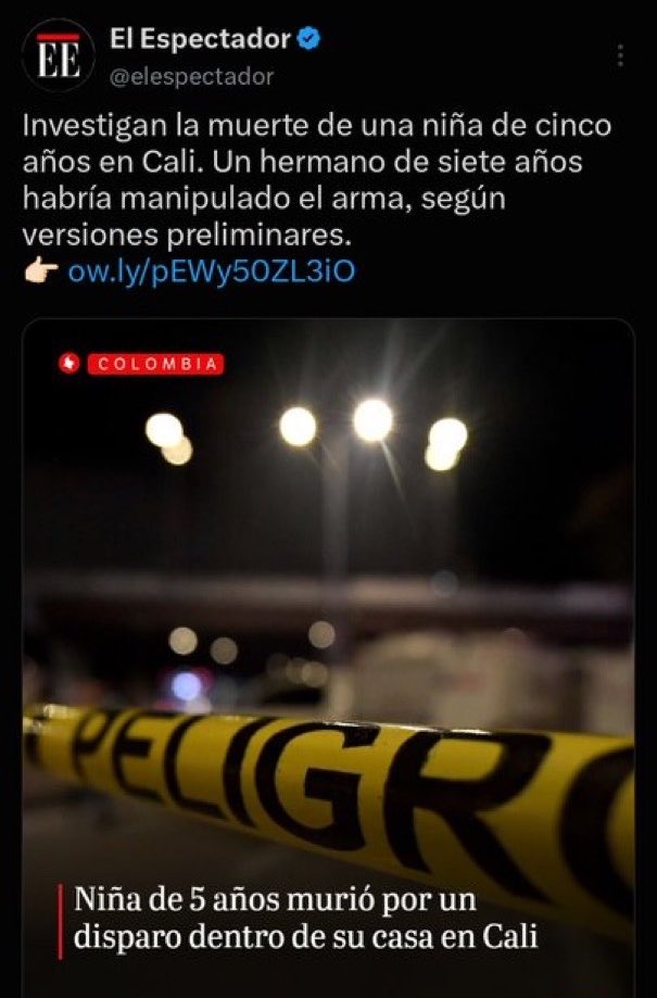 FisicoImpuro's tweet photo. Desde hoy empezó a regir el desmonte de las medidas que buscaban prohibir el porte de armas y ya empezaron a aparecer los muertos: en el primer caso, un niño ingresó un arma a una colegio y, por otro lado, un niño mató a su hermana con el arma de su papá. Era más que obvio que estos casos se iban a dar, pero quién le explica a un bruto Abelardista?