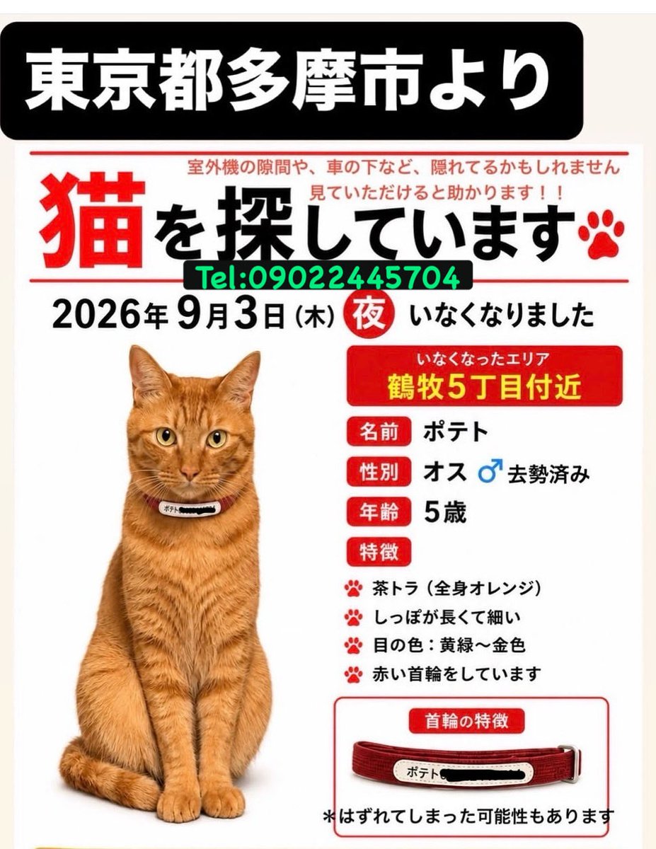 purmeow5's tweet photo. 猫さんの飼い主さんからの依頼です。

ポテトちゃん、ミルクから大切に育てられたこです。
毎日懸命に探しております。
どうぞ、どんな些細な情報でもけっこうです。
下記の方まで、ご連絡頂けるとほんとうに
助かります。
どうぞよろしくお願い致します🙏
tel: 09022445704
 #多摩市
 #猫を探しています
 #茶トラおす
 #首輪してます
 #鶴牧5丁目