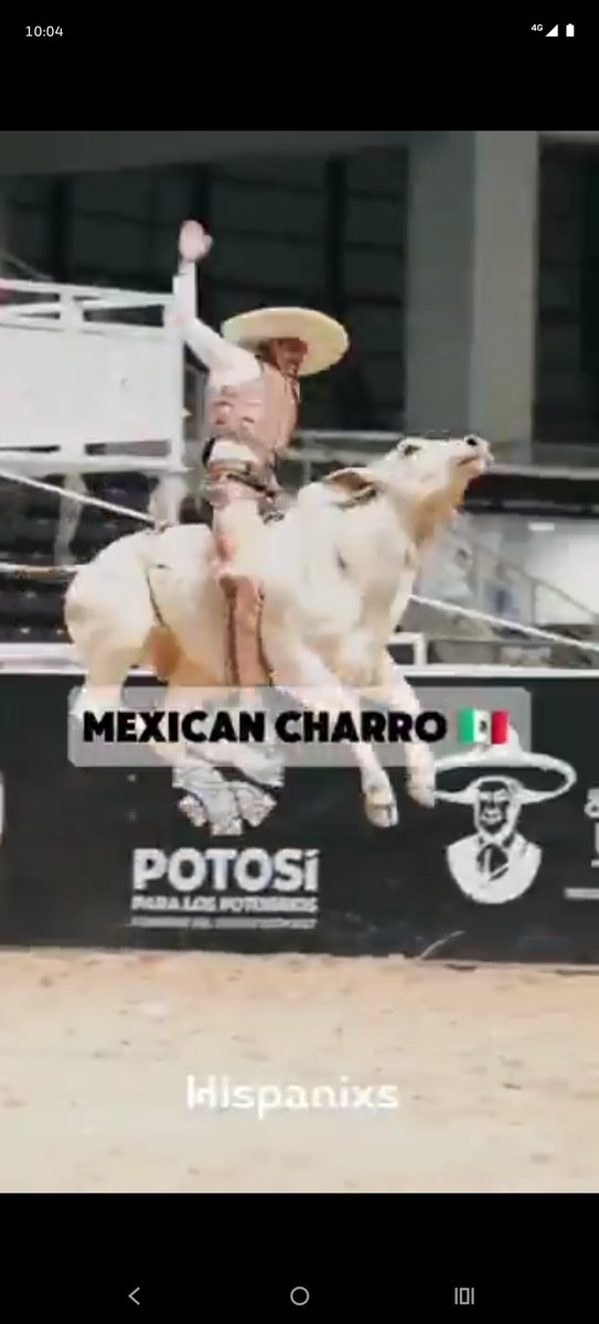 Shadow_Loord's tweet photo. @Rainmaker1973 Acá montamos vacas &amp; toros también 🇲🇽 https://t.co/IiyrUwCS6z