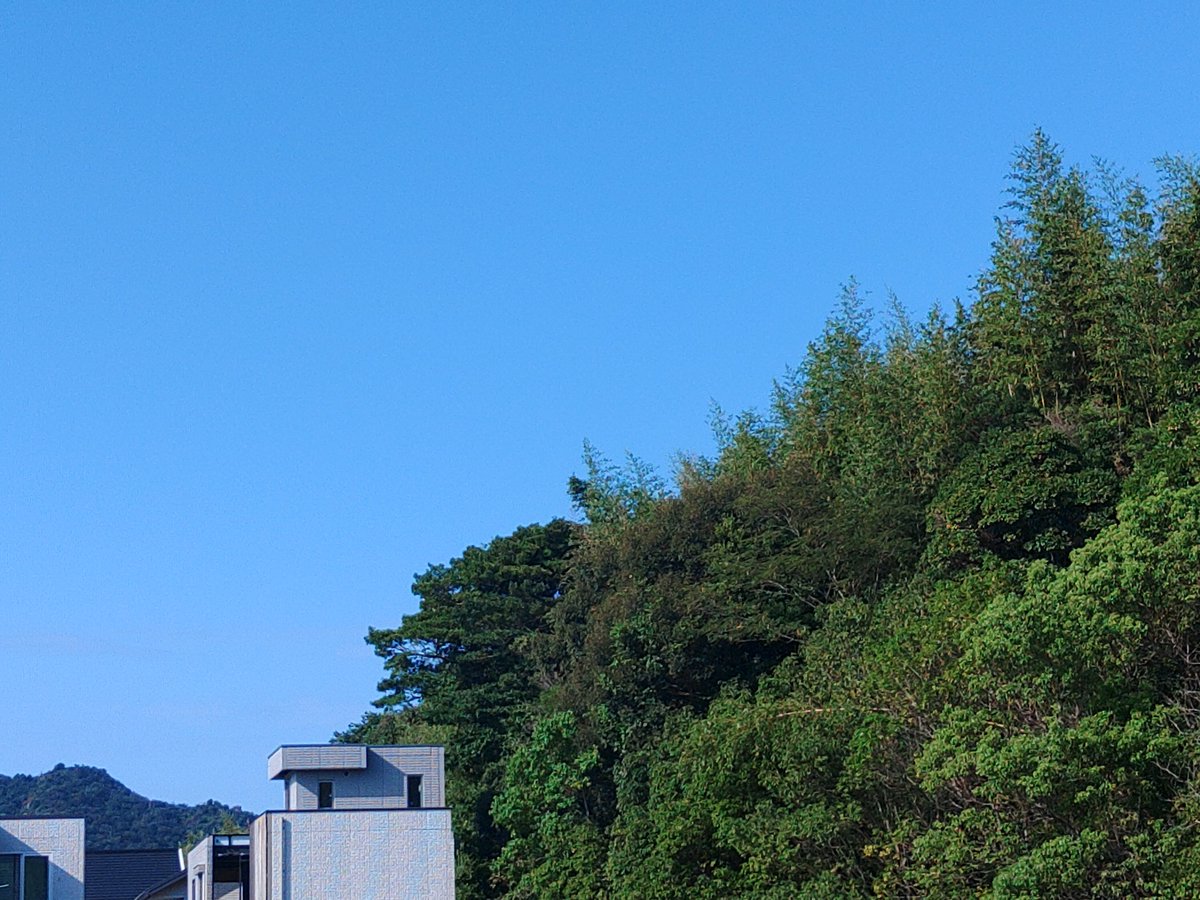 t_masabon's tweet photo. 朝が暑くないっていつ以来？
まあ、日差しはキツいけど。
もう、猛暑は無いかな？ https://t.co/8yCZQE8CeA