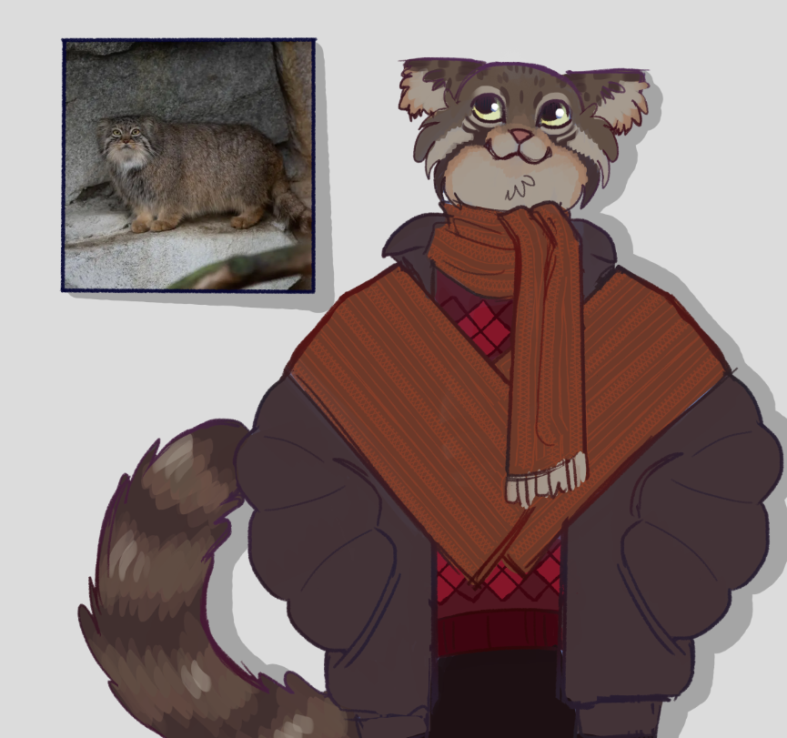 herostarchar's tweet photo. making every cat! 🐈
pt3: pallas' cat https://t.co/cMecG7diXQ