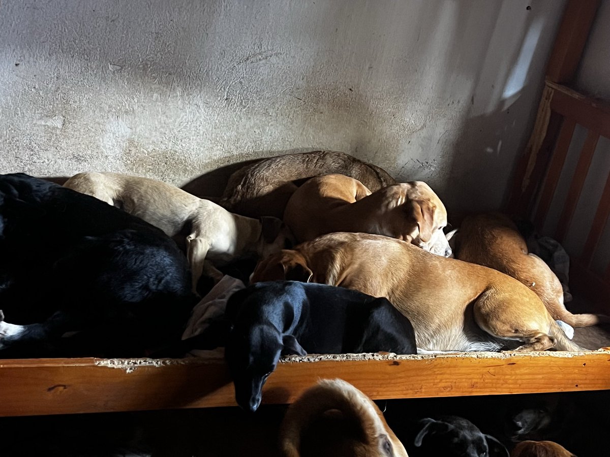 Wborgesprotecao's tweet photo. Eu confio na misericórdia de Deus. Eles merecem falta R$600 pro aluguel https://t.co/hCo3HxQOaG