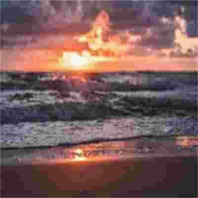LigmafartLOL's tweet photo. Family beach day under warm sun. Watching my kids build sandcastles with pure joy filled my soul. The real wealth is measured in giggles and golden memories  🍁 👑 🔥 https://t.co/GkLtNVPFWp