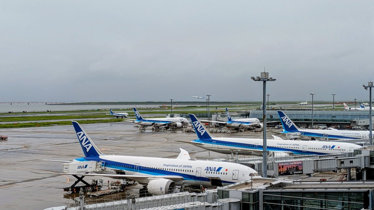 MakoMalaki's tweet photo. 飛行機に乗るわけじゃないんだ…

妻の要請で、羽田空港第2ターミナル���の東京ばな奈に行ってナイトメアビフォアクリスマスのコラボ商品を買いに行ったのだ…

確かに、この缶めっちゃ可愛い。 https://t.co/CWAsEc1a6o