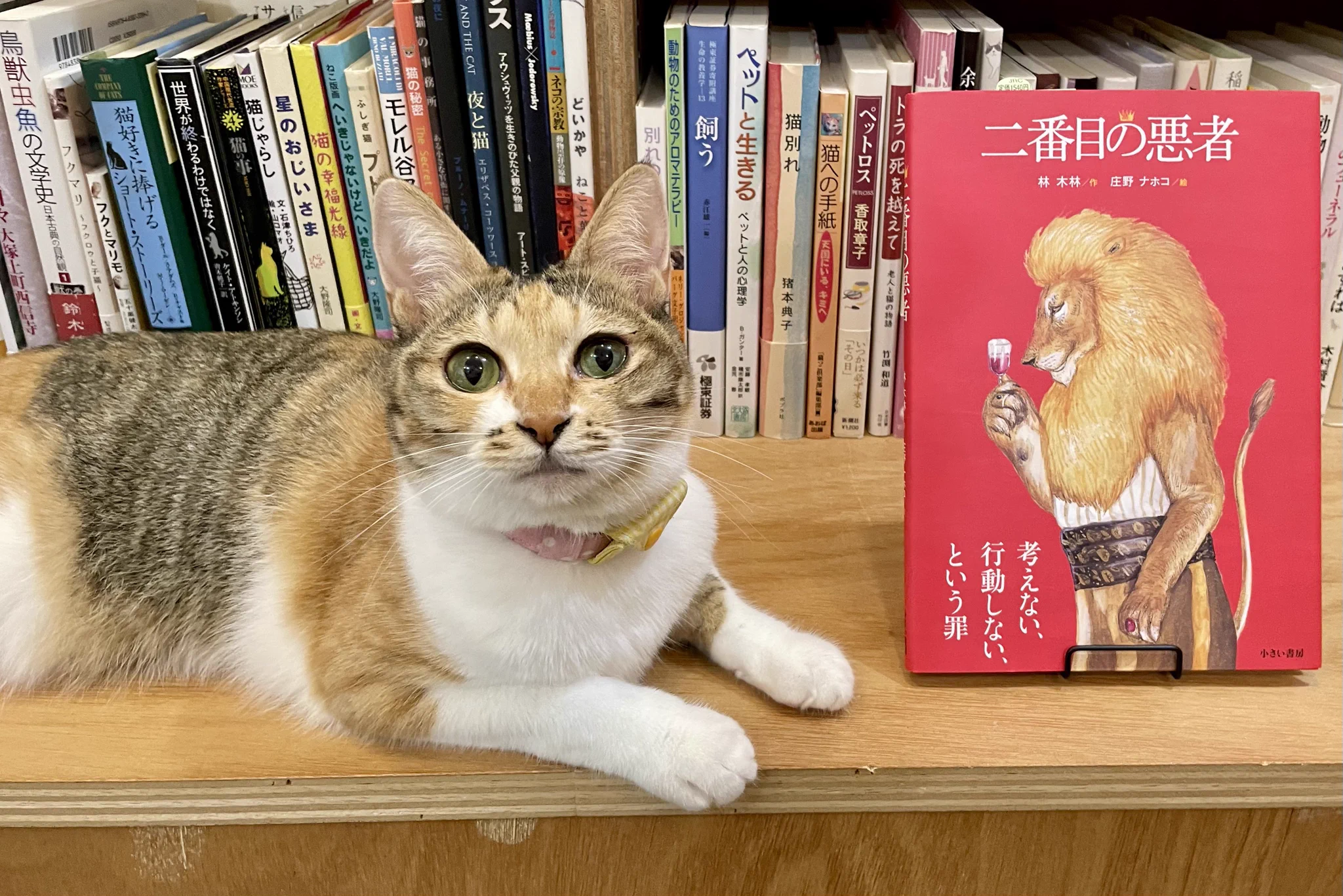 Replies by 深谷かほる「夜廻り猫」12巻 (@fukaya91) / X