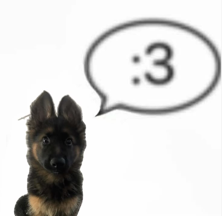 lolk9z's tweet photo. this is me if you even fucking care https://t.co/9Vxvqo9y9h