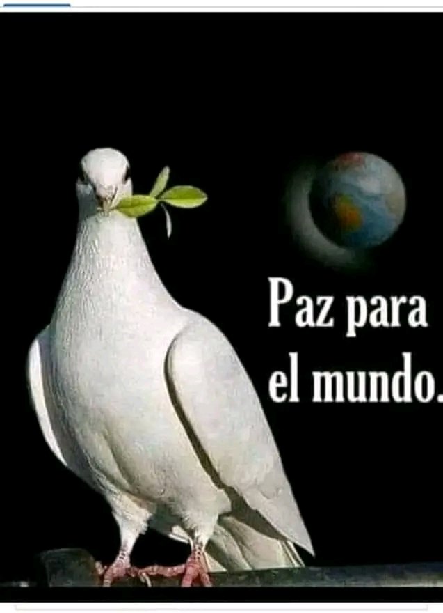 Freire14864's tweet photo. La educación es un derecho universal que debe ser respetado, nada justifica atacar una escuela y asesinar sus alumnos.  Luchemos por La Paz en este mundo.
#FCMSagua 
#CambioclimaticoySalud 
#UnaSaludVC https://t.co/VdRfBRRzSa