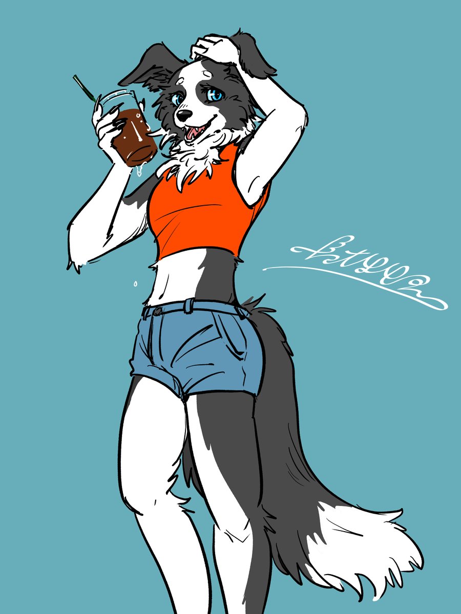 dawnmisty_cat tweet picture