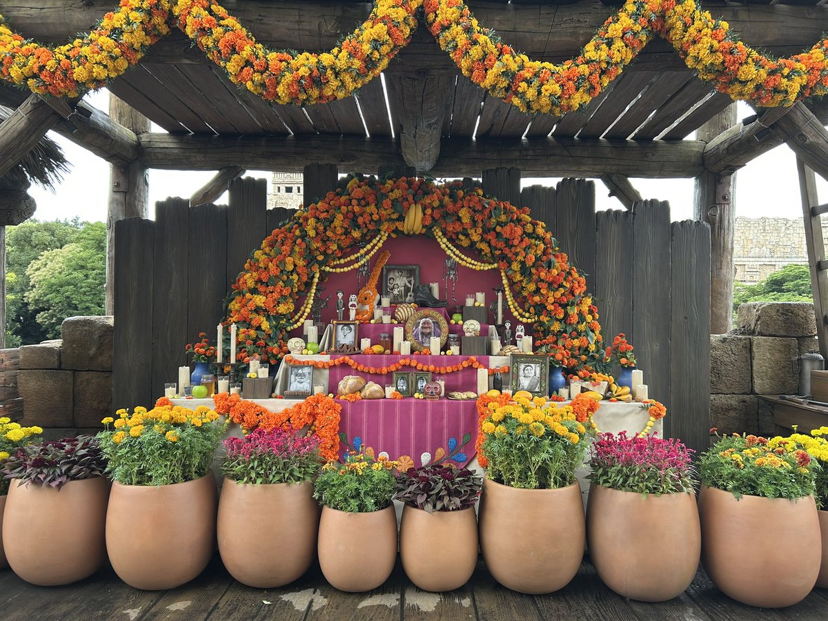 _megred411_'s tweet photo. やばい😭🧡💀🌼*･ https://t.co/1RHBg4nqdw