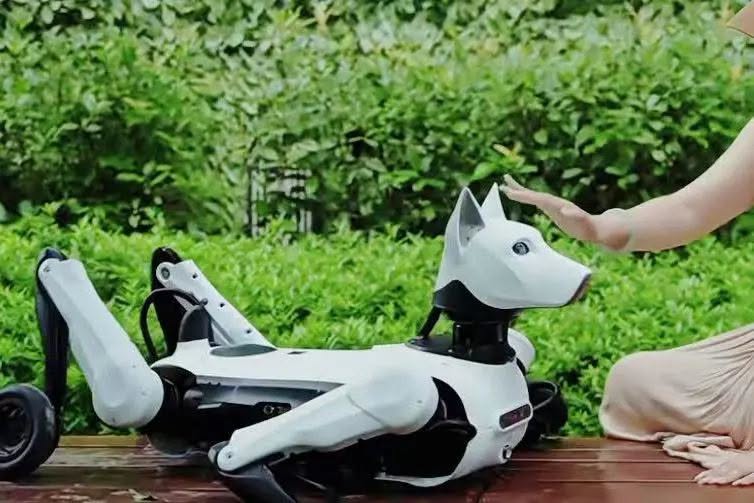 ChinaScience's tweet photo. A Chinese company has unveiled Xiaoyuan, the country’s first wheeled-legged guide robot, which can glide on flat ground and climb stairs, offering a new mobility solution for people with visual impairments.

The robot features a hybrid wheeled-legged design. It can move on wheels across flat surfaces and switch to legged mode to climb stairs, allowing it to navigate both up and down steps. It also operates with low noise to avoid interfering with users’ ability to identify their surroundings through sound.

The robot has an indoor obstacle-avoidance success rate of at least 99 percent and an outdoor success rate of at least 96 percent, while its outdoor positioning error is controlled within 30 centimeters.