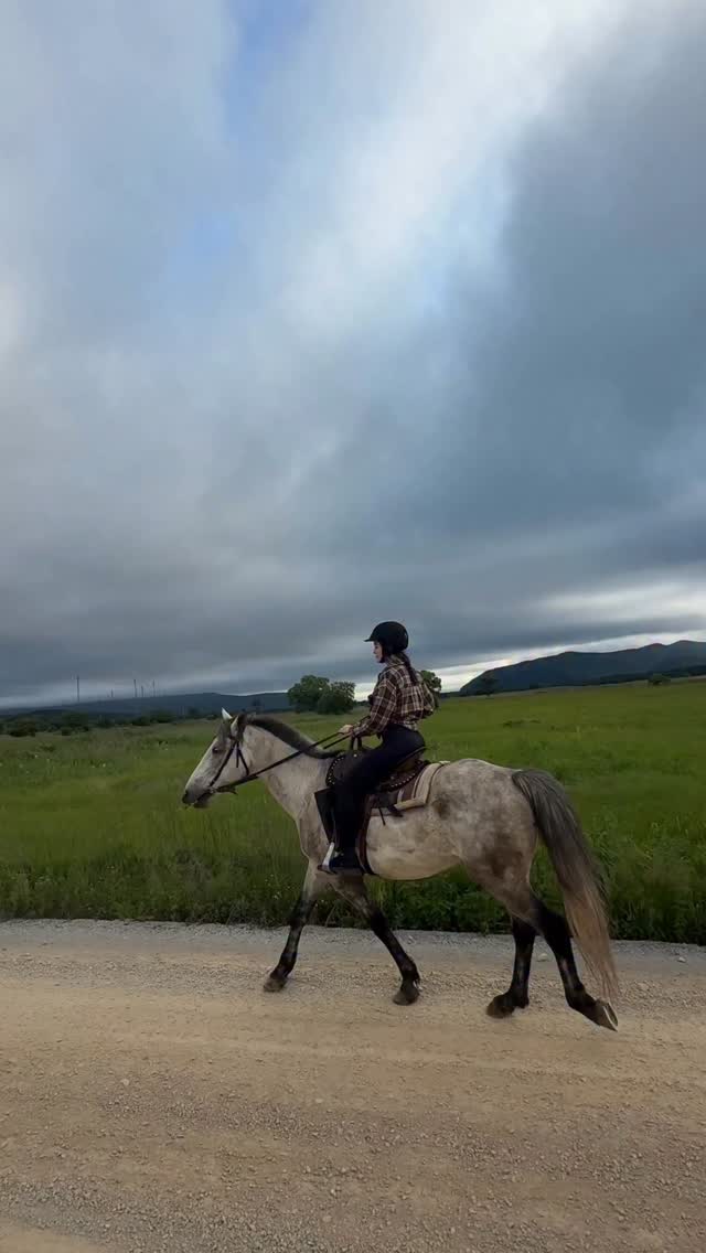 LetaDisantfh's tweet photo. + another unforgettable day 
We trotted for half the ride. There’s still a lot to learn before galloping, but I think I’ll take lessons someday. https://t.co/9InnuJeZbr