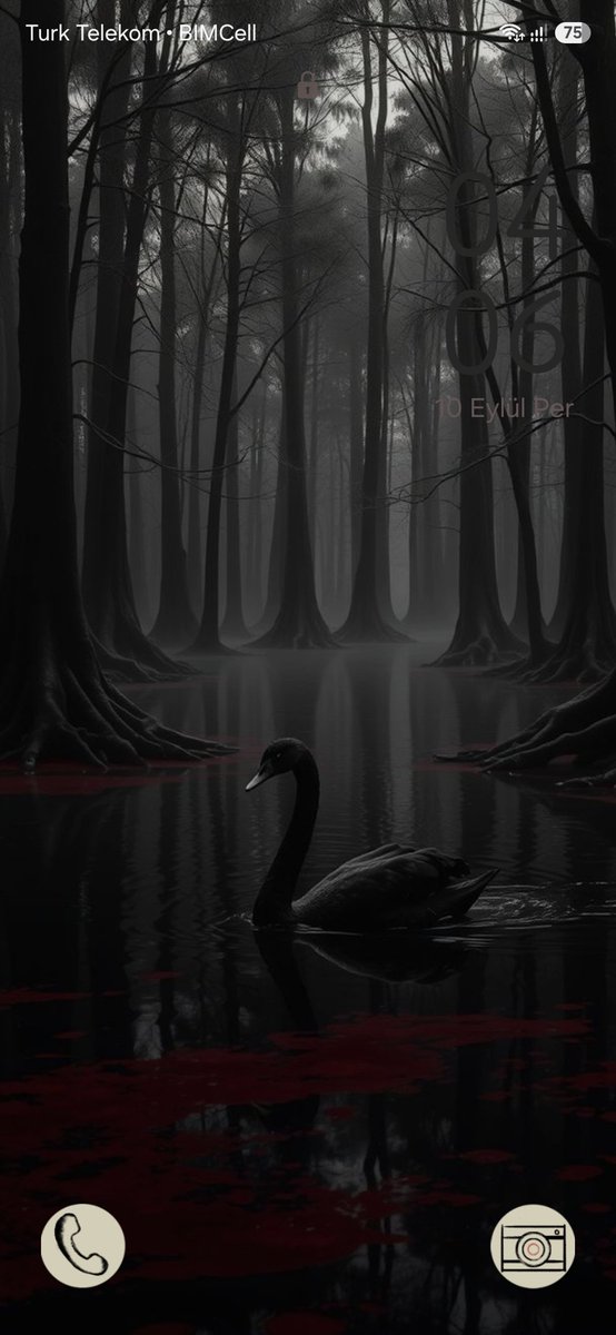 ascension_tin tweet picture
