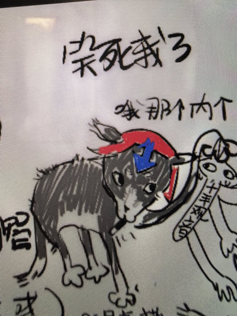 milkcat118's tweet photo. 被绝育的lkt猫 https://t.co/uy8w5MoFD0
