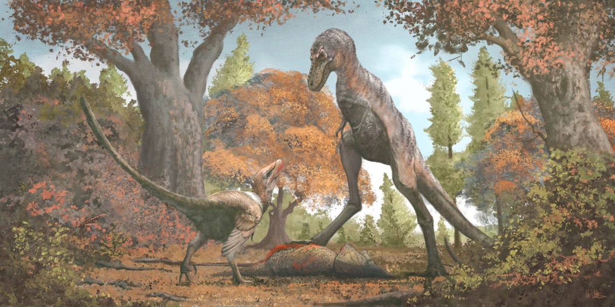 Delphingeist's tweet photo. Acheroraptor discusses ownership of a Leptoceratops carcass with a juvenile T. rex. By Mark P. Witton. Autumnal. https://t.co/myTVKbxh7A