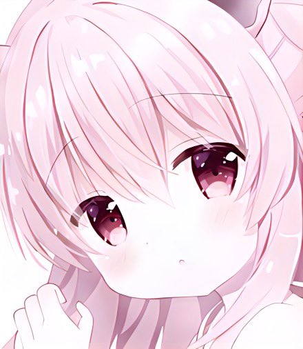 PrestonShe90283's tweet photo. ひまんちゅたち https://t.co/EYD1UYAT4C